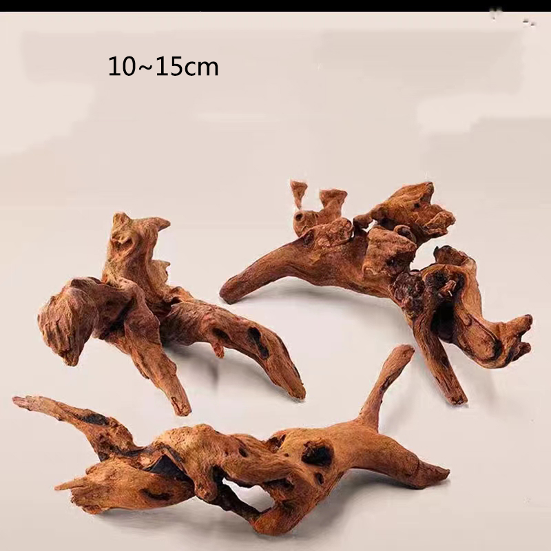 Natural Tree Trunk Aquarium De - Aquarium Plant Root Tabs 评论和价格