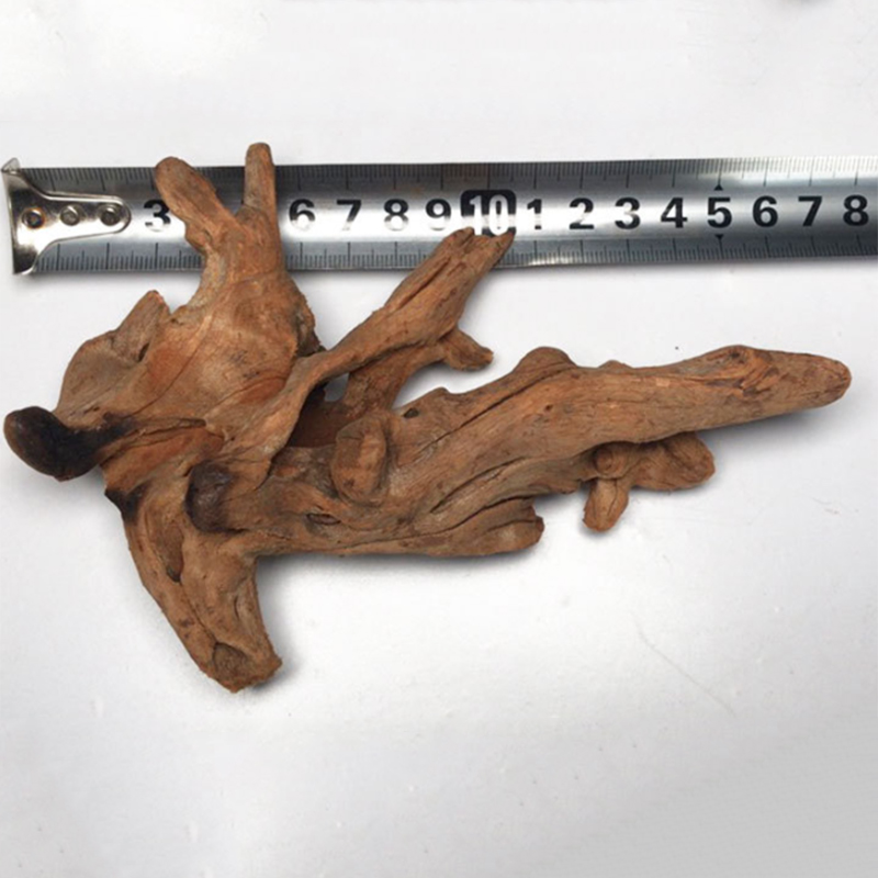 Natural Tree Trunk Aquarium De - Aquarium Plant Root Tabs 评论和价格
