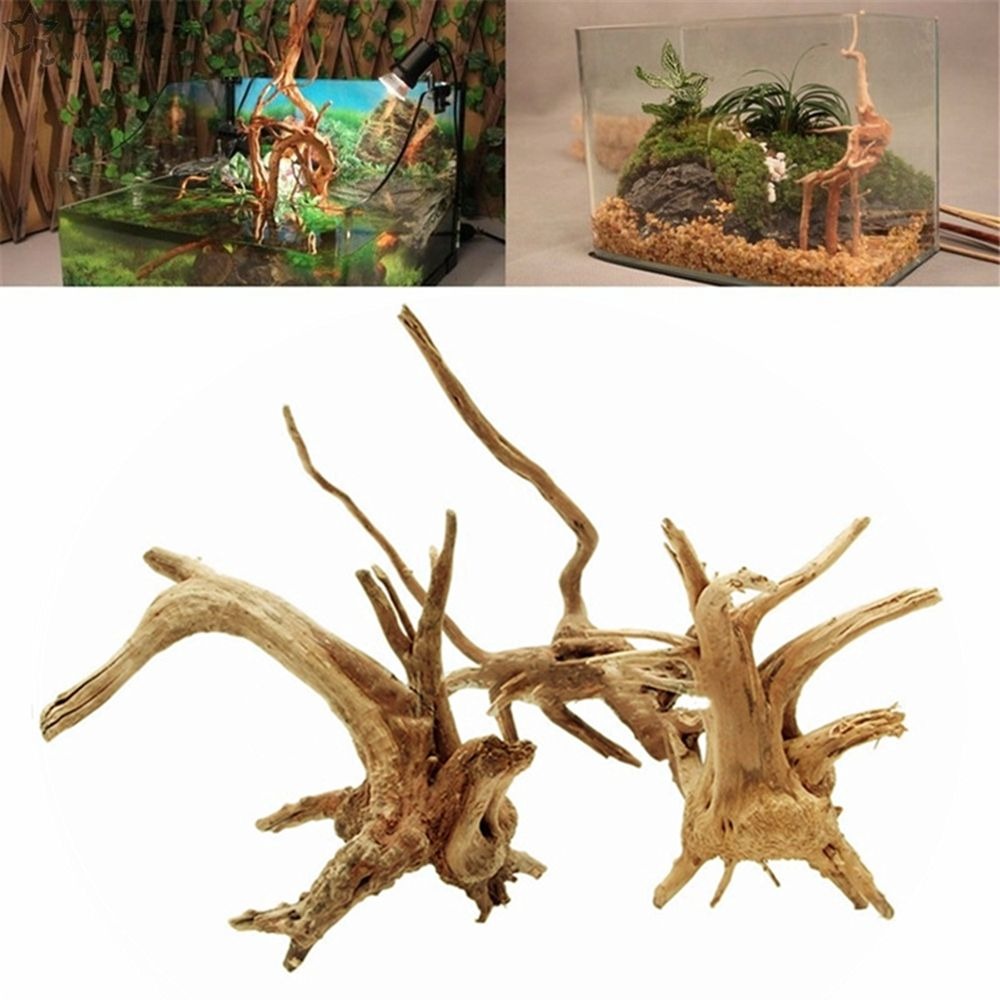 New Natural Wooden Fish Tank D - Aquarium Plant Root Tabs 评论和价格