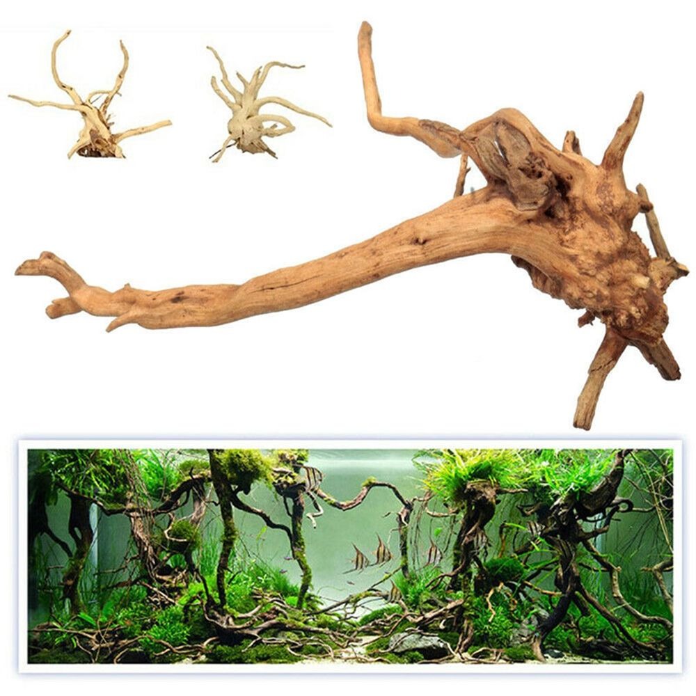 New Natural Wooden Fish Tank D - Aquarium Plant Root Tabs 评论和价格