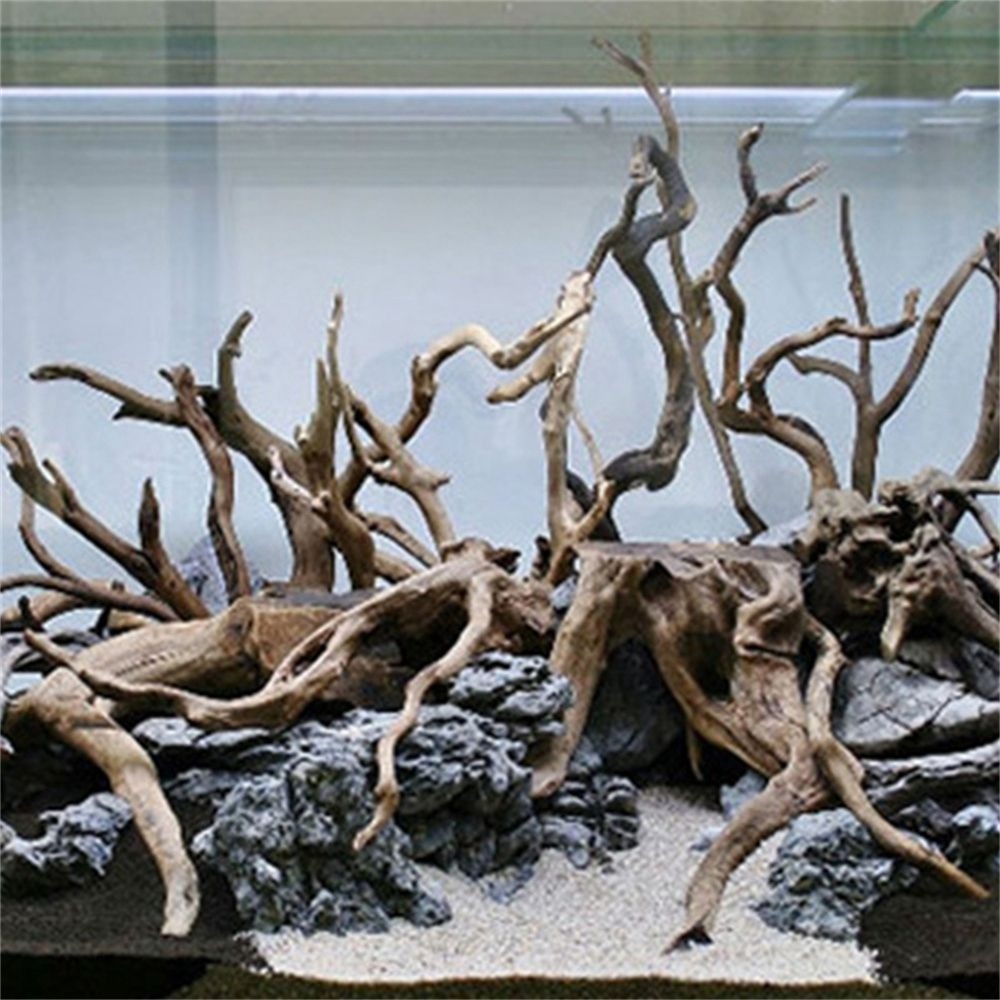 New Natural Wooden Fish Tank D - Aquarium Plant Root Tabs 评论和价格