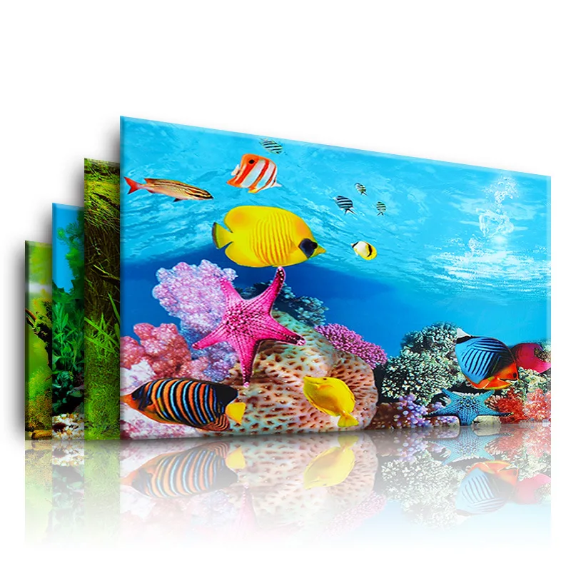 Background for Aquarium 3d  St - Planted Aquarium Aquascape 评论和价格