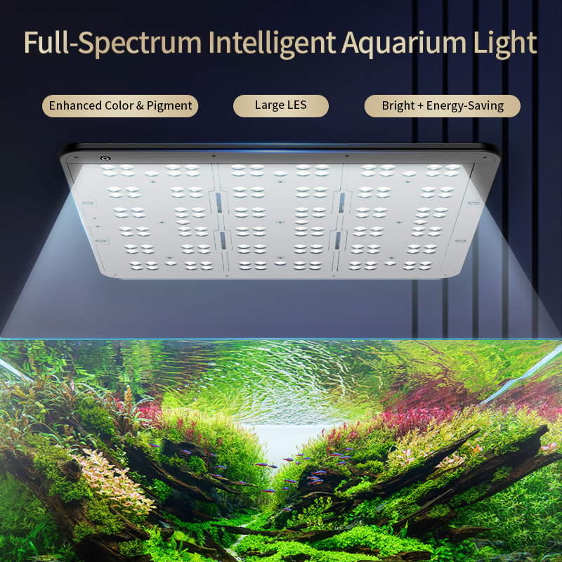 KASSRAY T200/T300 IR-A+UV Natu - Planted Aquarium Uv Light 评论和价格