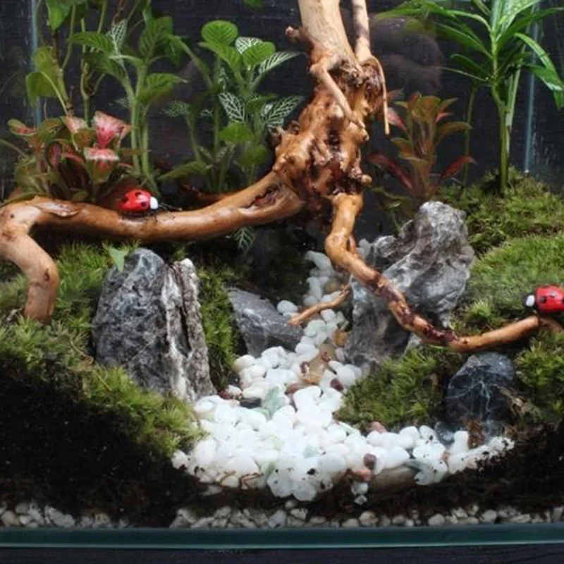 Natural Tree Trunk Driftwood A - Aquarium Plant Root Tabs 评论和价格