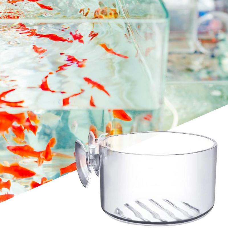 Aquarium Plant Pot Glass Cylin - Aquarium Planted Seeds 评论和价格