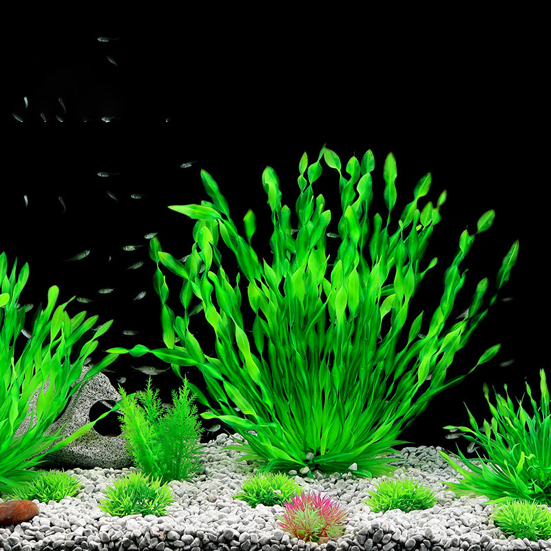 13/23/32/36/40cm Aquarium Arti - Aquarium Planted Seeds 评论和价格
