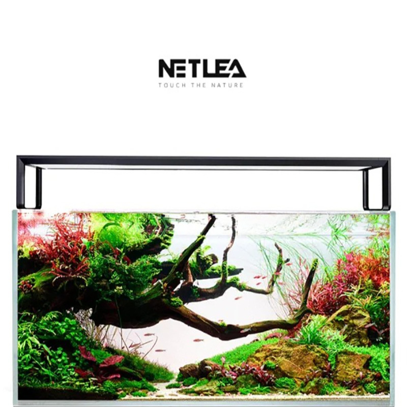 Netlea AT5S V4 Smart Wifi APP  - Planted Aquarium Aquascape 评论和价格