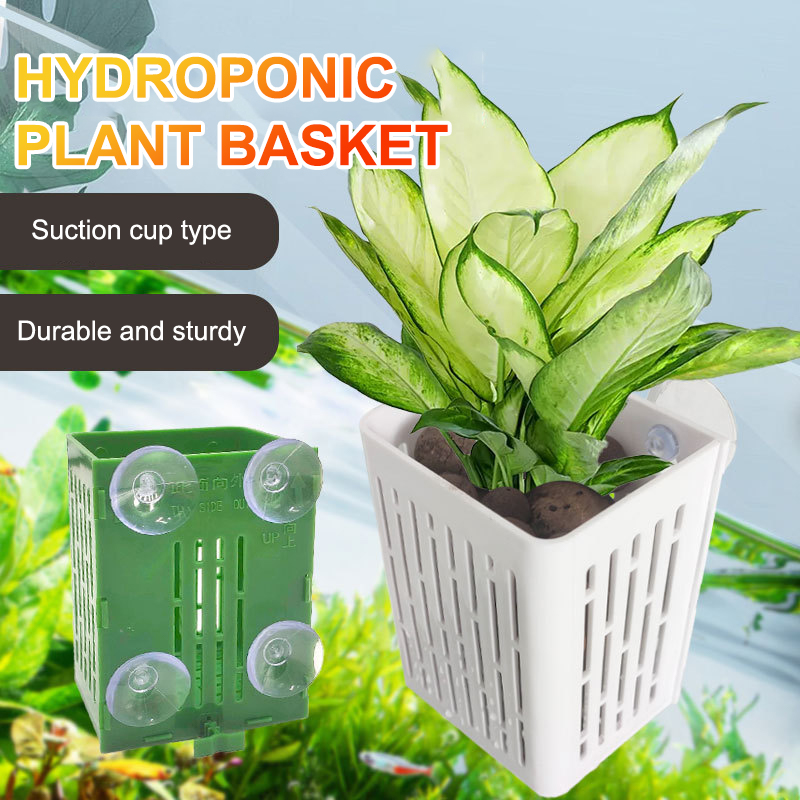Hanging Suction Cup Hook Aquar - Planted Aquarium Aquascape 评论和价格