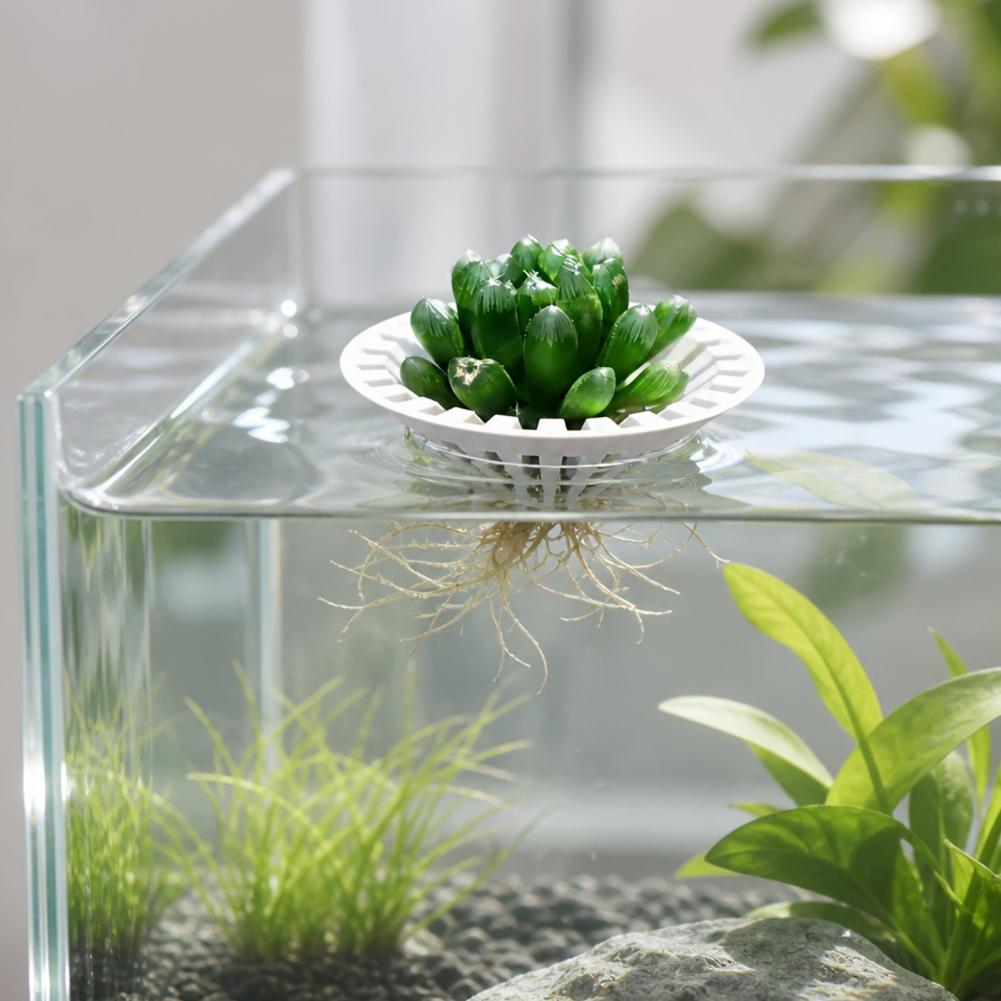 Aquarium Hydroponic Planter 3d - Planted Aquarium Aquascape 评论和价格