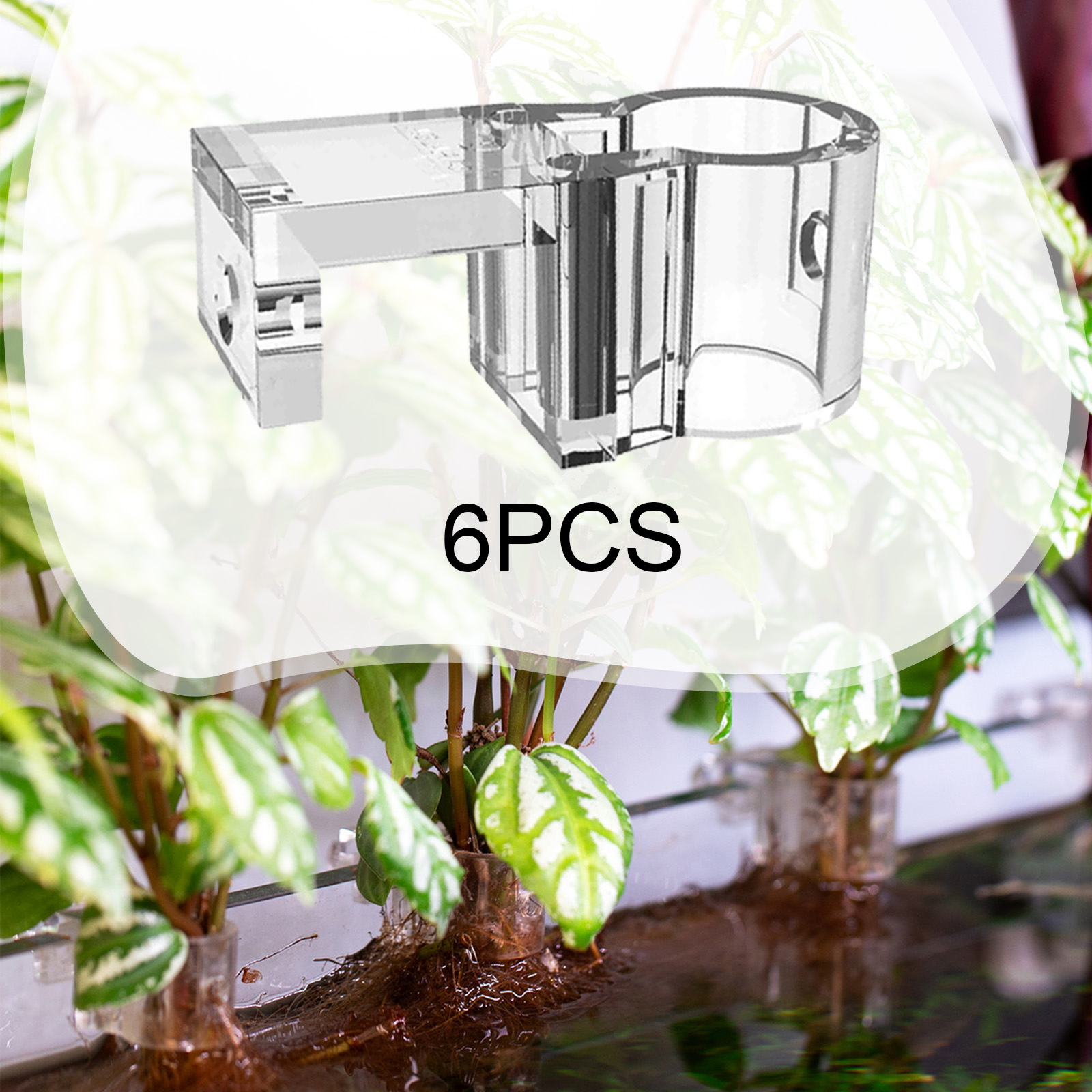 6Pcs Aquarium Plant Holder Sup - Planted Aquarium Mini 评论和价格