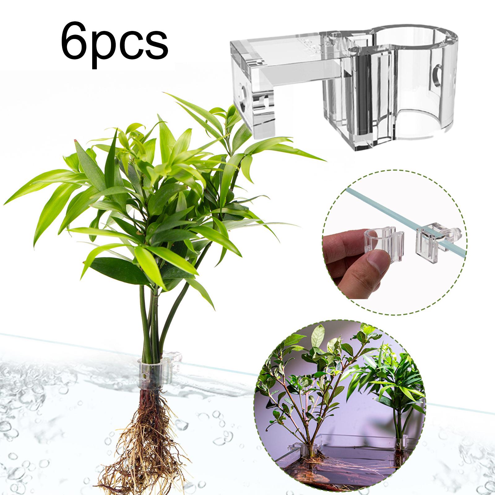 6Pcs Aquarium Plant Holder Sup - Planted Aquarium Mini 评论和价格