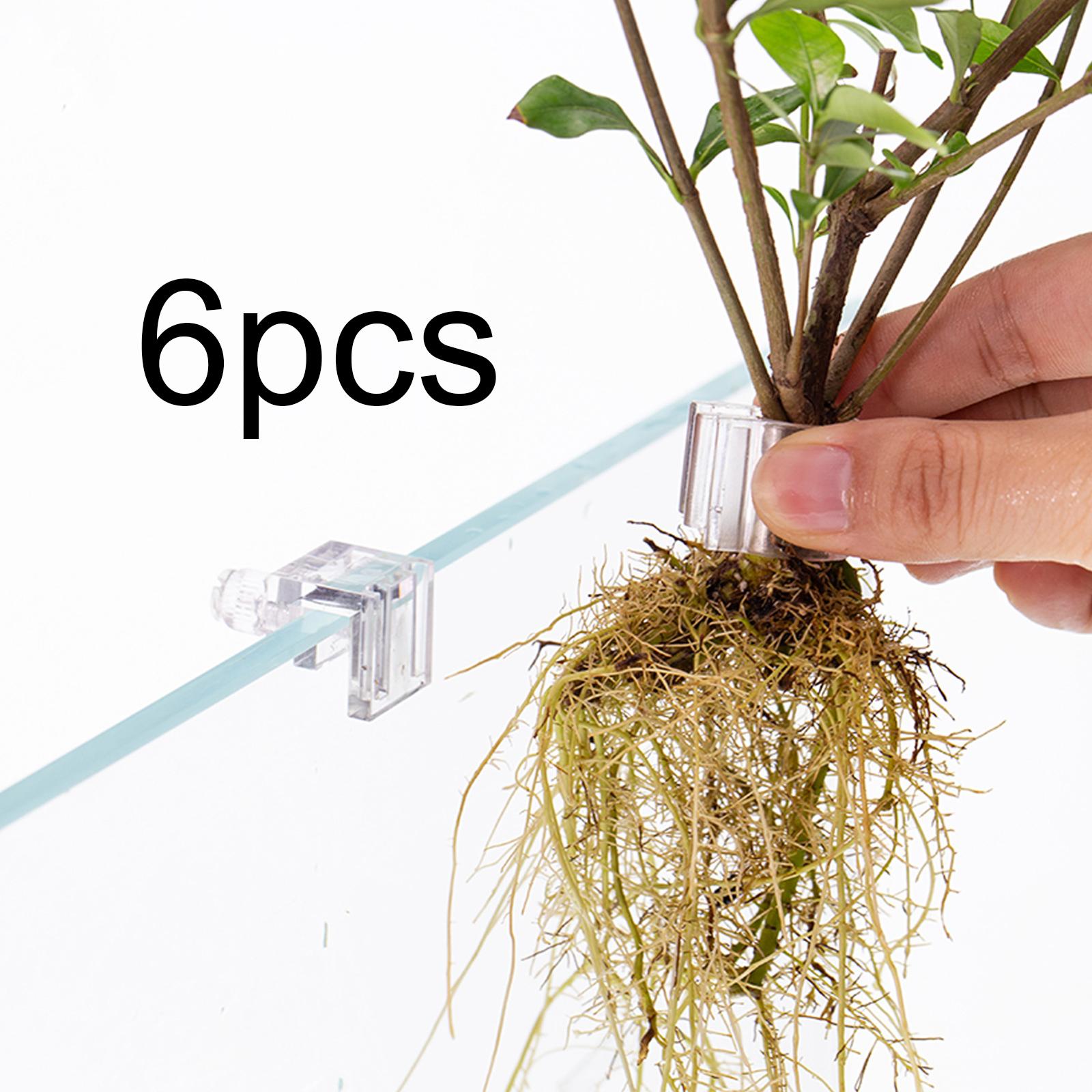 6Pcs Aquarium Plant Holder Sup - Planted Aquarium Mini 评论和价格