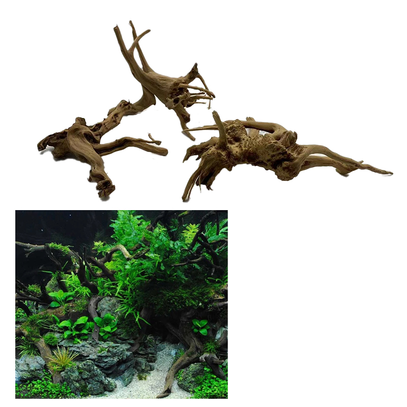 Natural Tree Trunk Driftwood A - Aquarium Plant Root Tabs 评论和价格