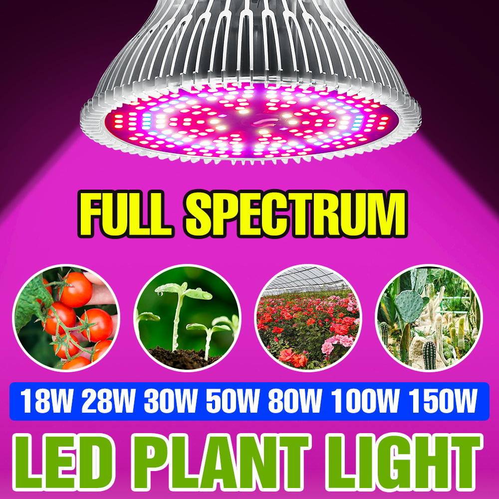 150W E27 Full Spectrum Plant B - Aquarium Plant Root Tabs 评论和价格