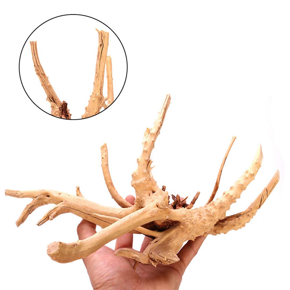 1 Pcs Wood Natural Trunk Drift - Aquarium Plant Root Tabs 评论和价格