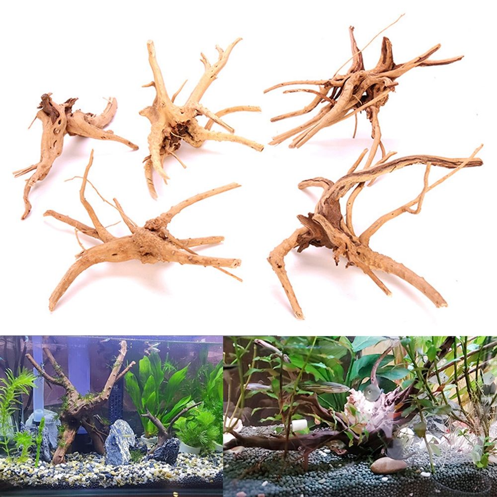 1 Pcs Wood Natural Trunk Drift - Aquarium Plant Root Tabs 评论和价格