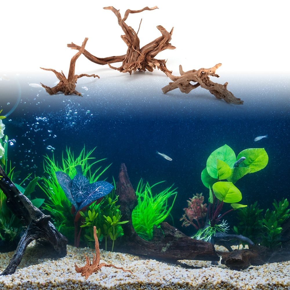 1 Pcs Wood Natural Trunk Drift - Aquarium Plant Root Tabs 评论和价格