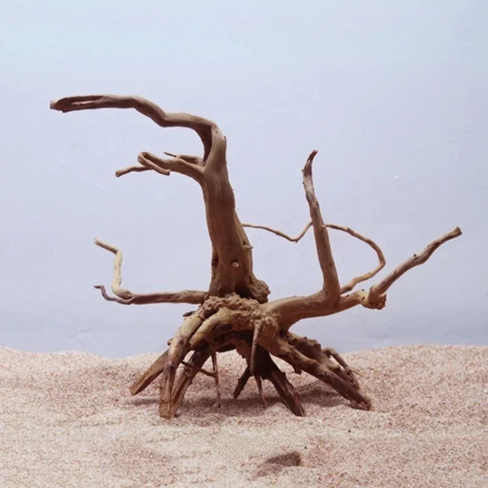 Natural Tree Trunk Driftwood A - Aquarium Plant Root Tabs 评论和价格