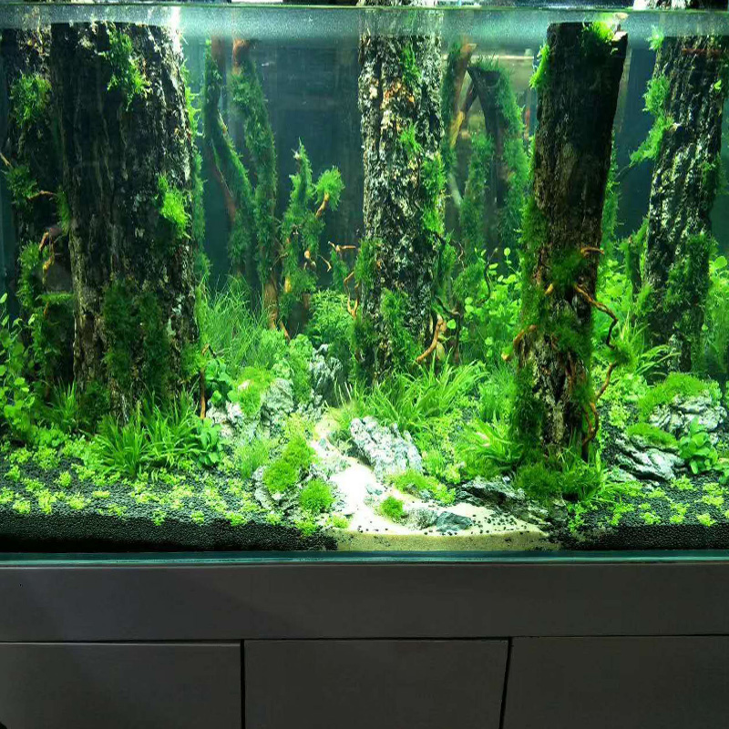Simulation Tree Trunk Sinking  - Aquarium Plant Root Tabs 评论和价格