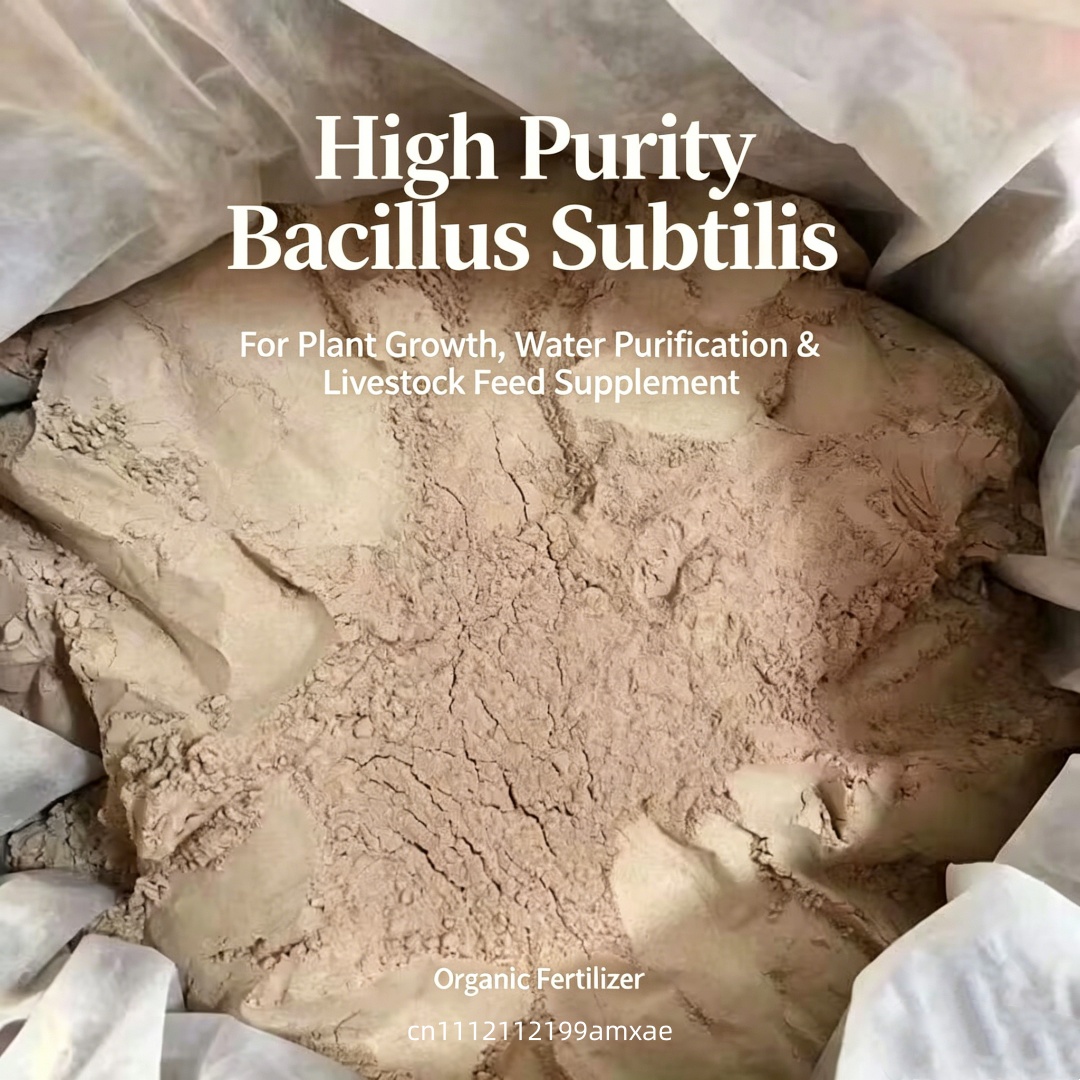 High Activity Bacillus Subtili - Aquarium Plant Diseases 评论和价格