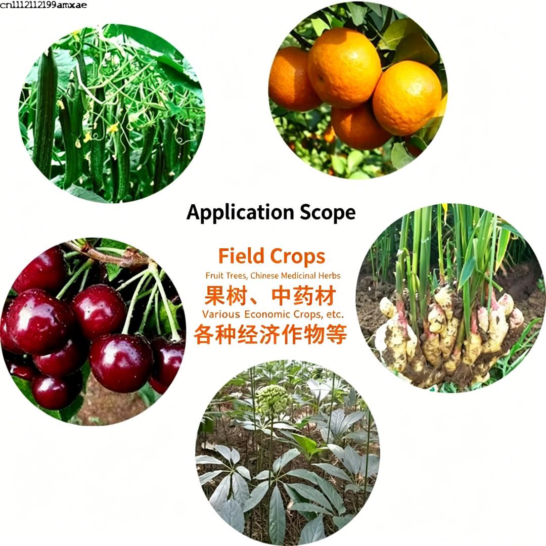 High Activity Bacillus Subtili - Aquarium Plant Diseases 评论和价格
