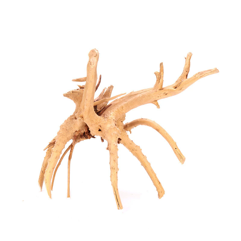 4PCS Natural Wooden Fish Tank  - Aquarium Plant Root Tabs 评论和价格
