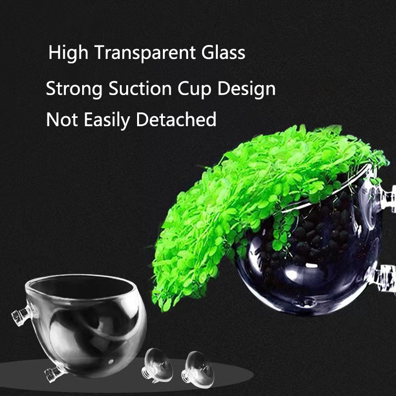 Glass Aquarium Decoration Hang - Planted Aquarium Mini 评论和价格