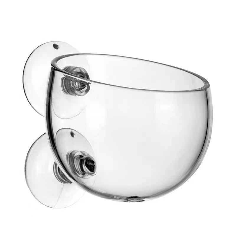 Glass Aquarium Decoration Hang - Planted Aquarium Mini 评论和价格