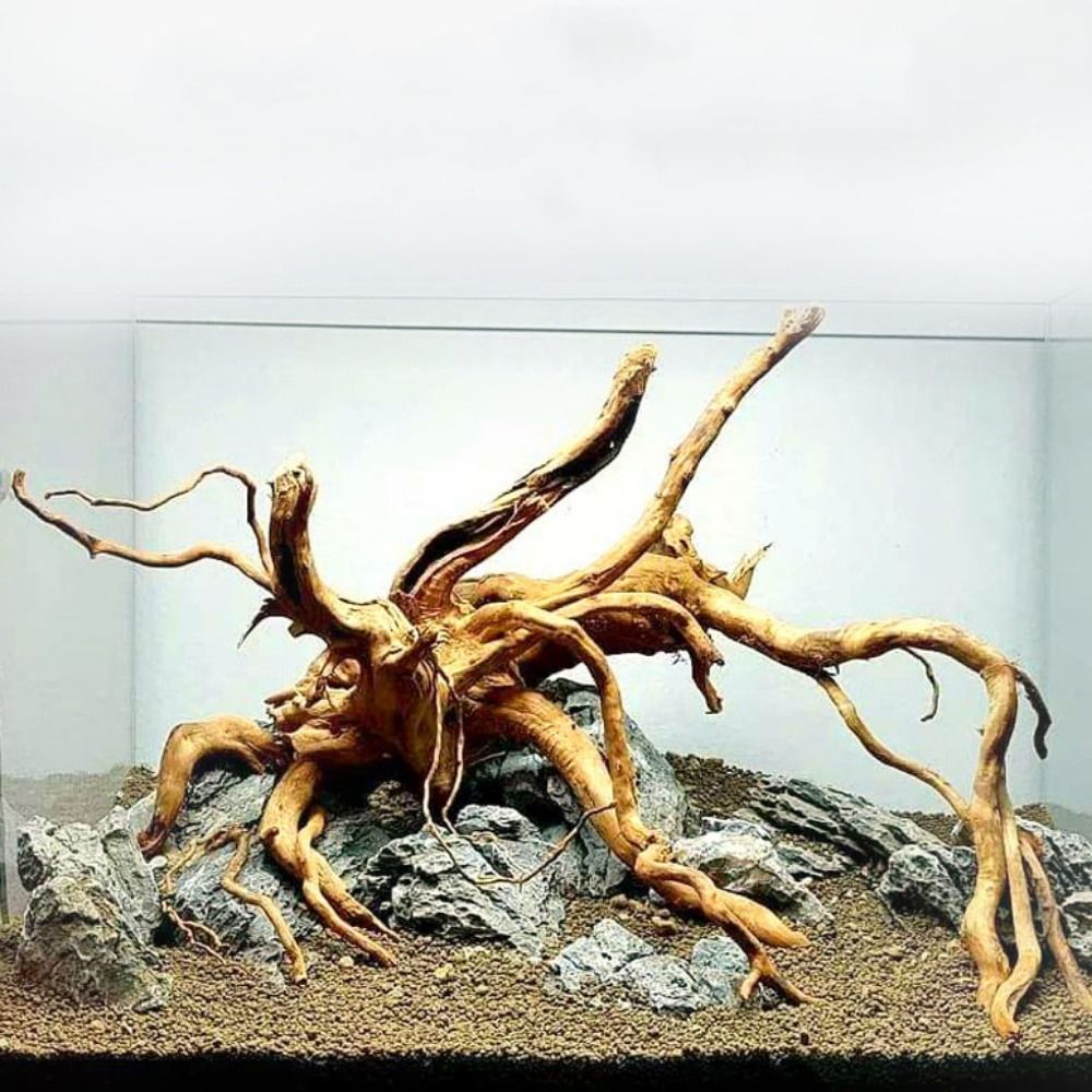 20-25CM Large Aquarium Driftwo - Planted Aquarium Media 评论和价格