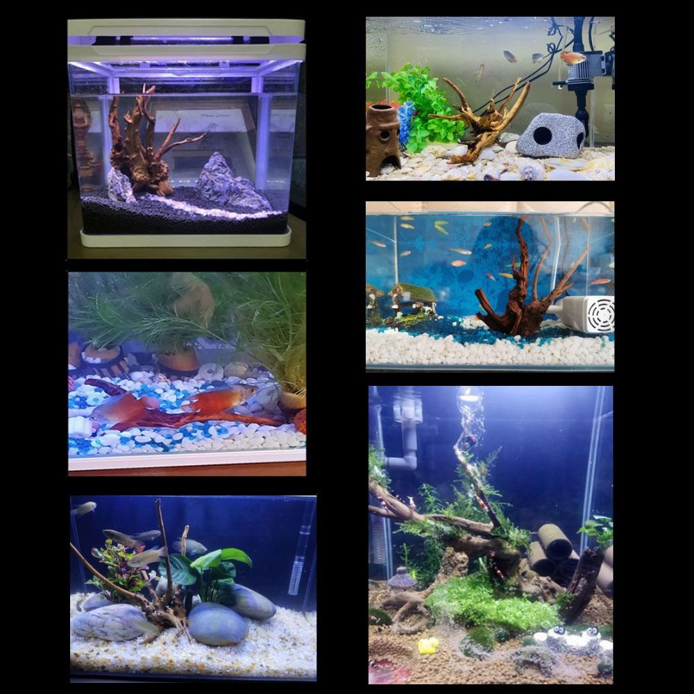 20-25CM Large Aquarium Driftwo - Planted Aquarium Media 评论和价格