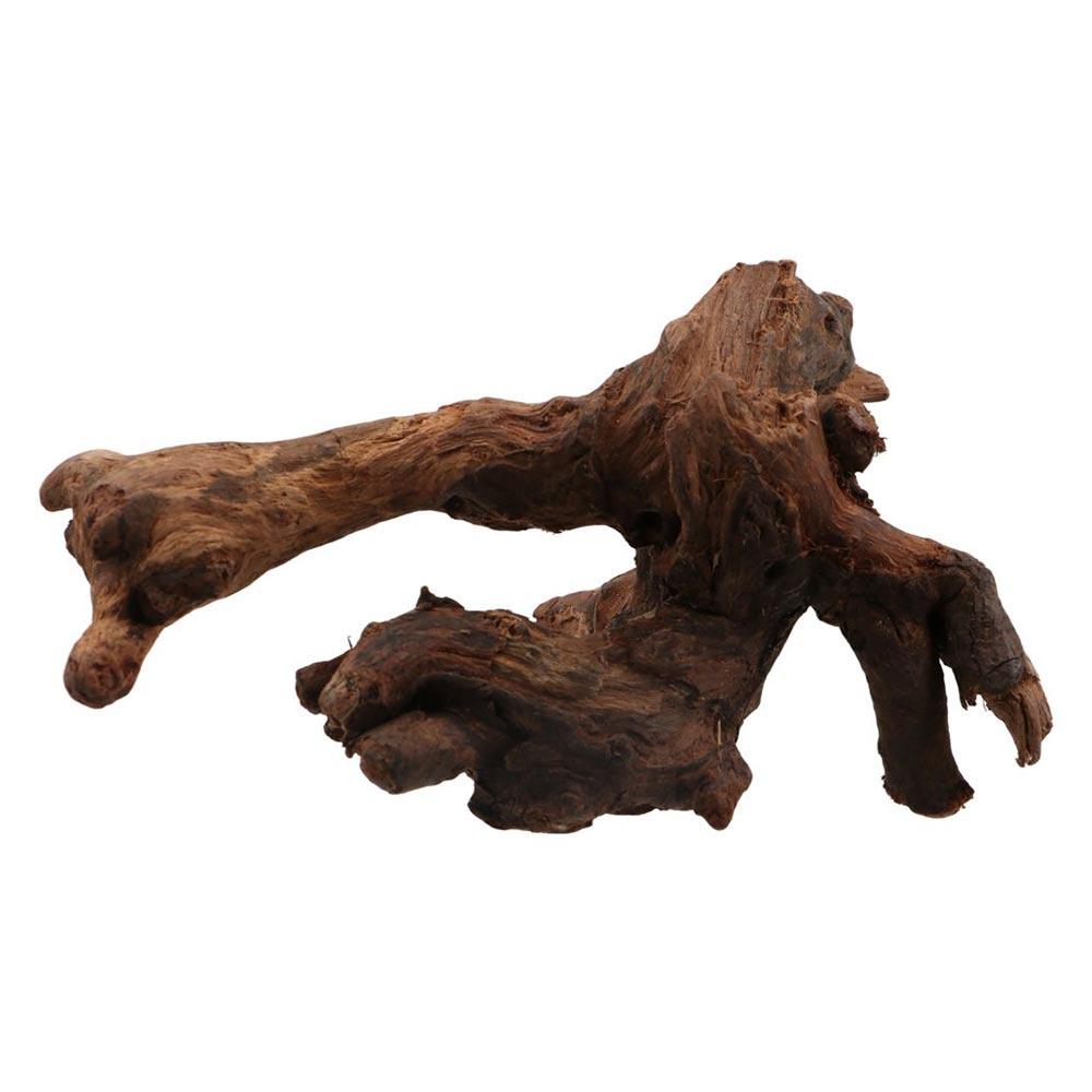 Creative Irregular Shape Coral - Planted Aquarium Media 评论和价格