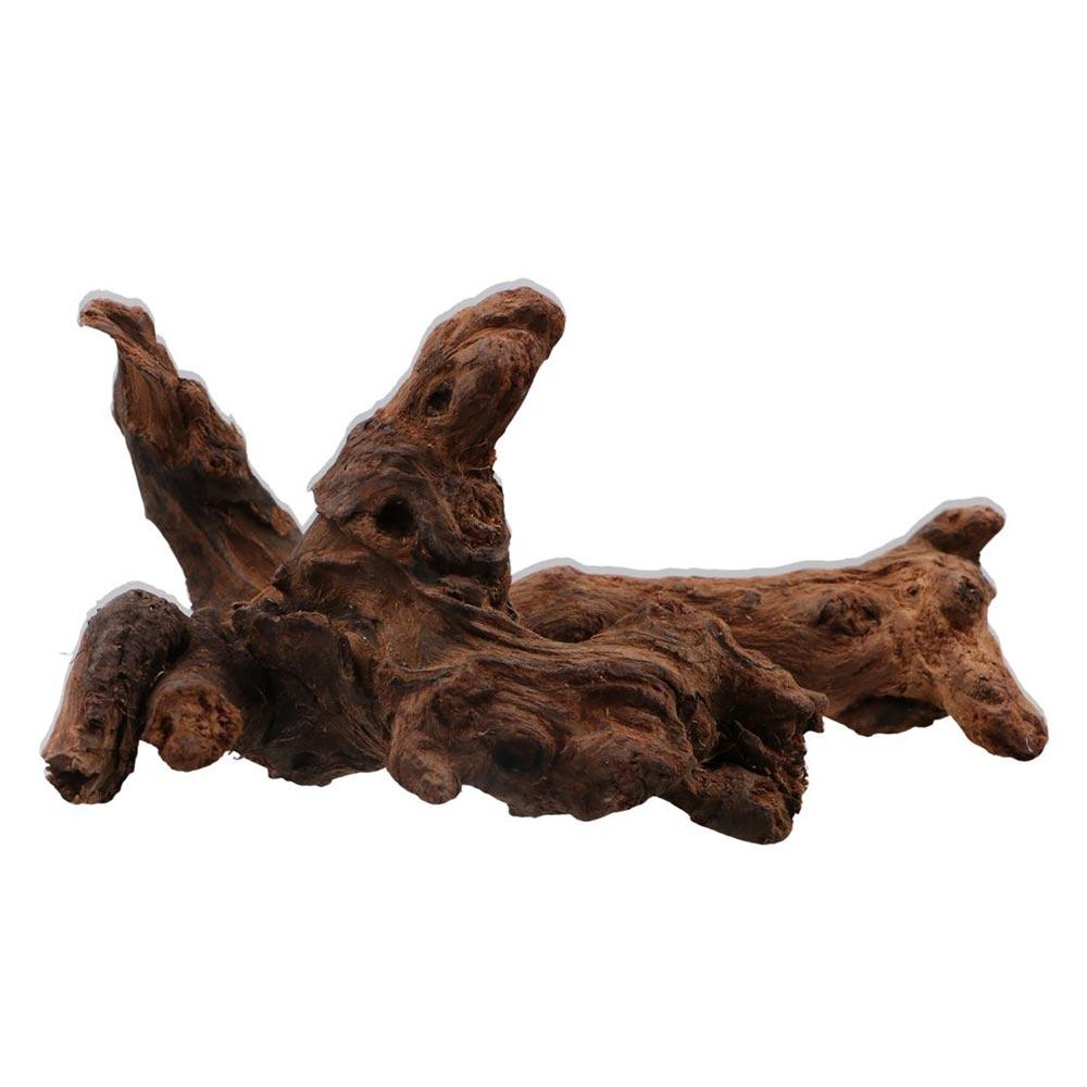 Creative Irregular Shape Coral - Planted Aquarium Media 评论和价格