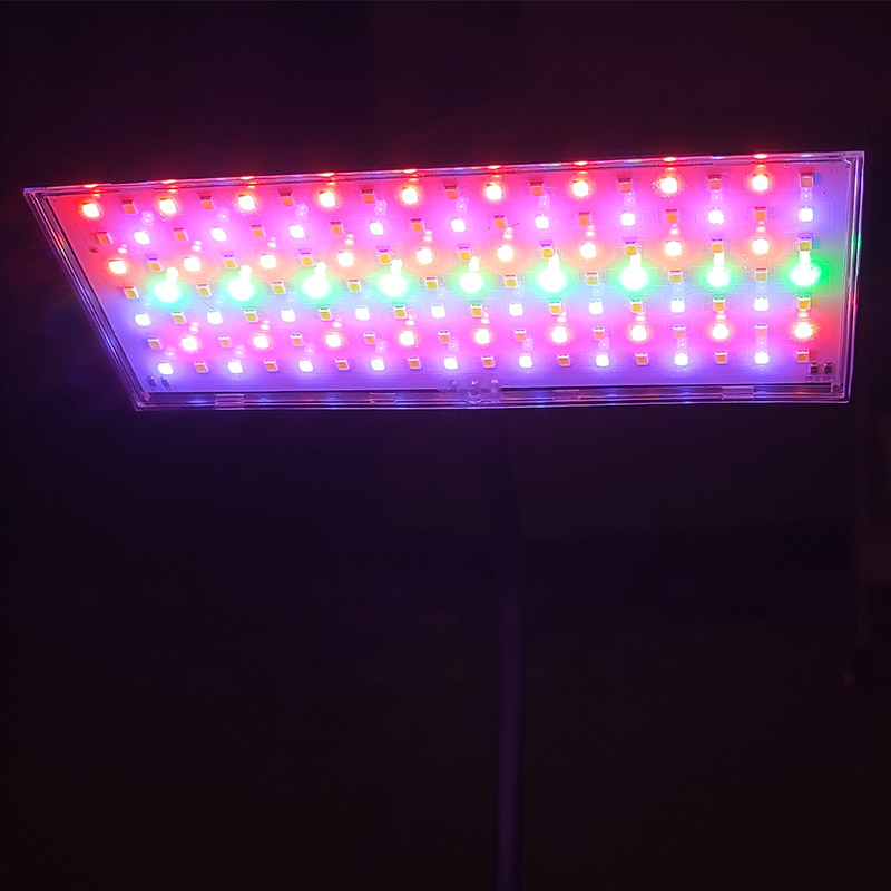 3 Light Color Adjustable Aquar - Aquarium Plant Diseases 评论和价格