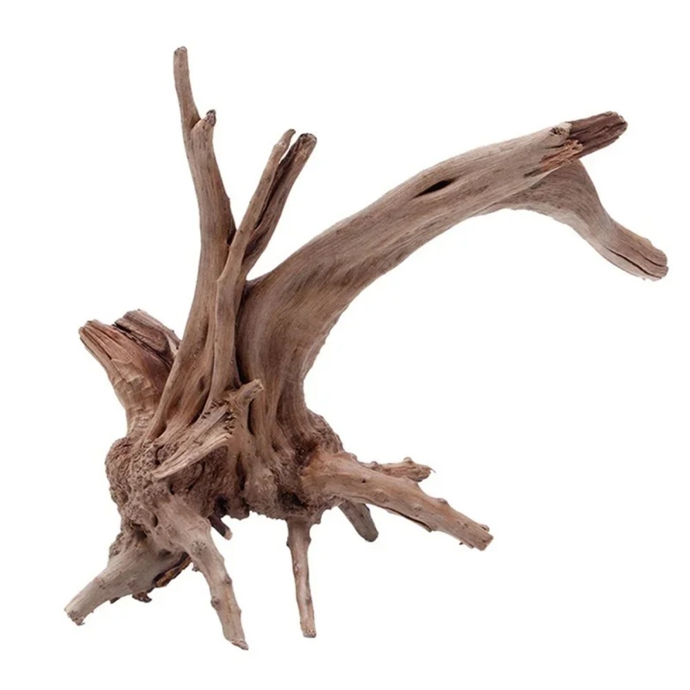 1PC Natural Tree Trunk Driftwo - Aquarium Plant Root Tabs 评论和价格