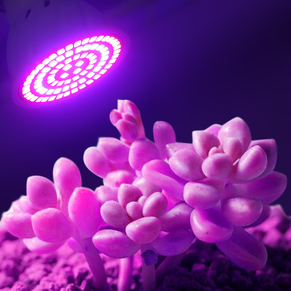 Led Grow Bulb 220V E27 60 80LE - Aquarium Plant Root Tabs 评论和价格