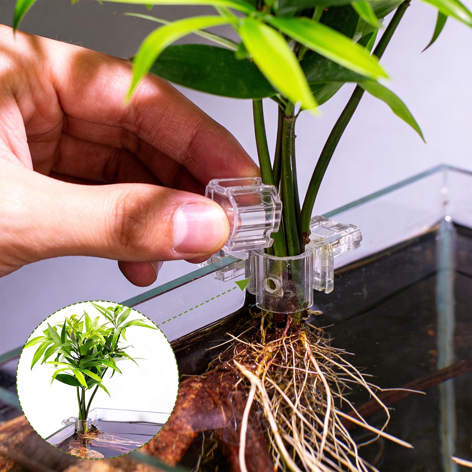 6pcs Aquarium Plant Holders Cl - Aquarium Plant Diseases 评论和价格