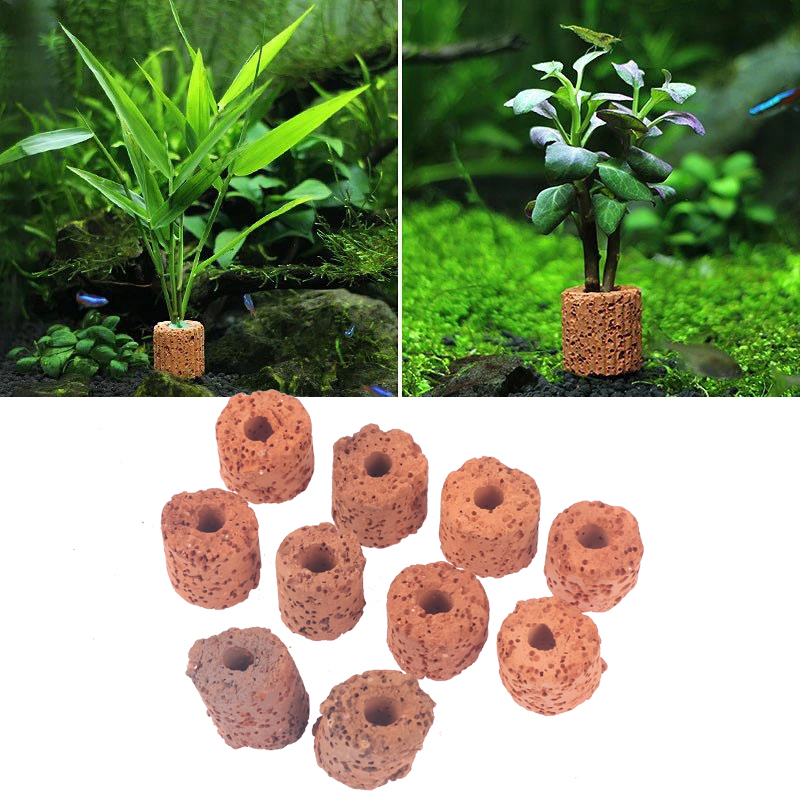 ^10Pcs Plant Ring Aquarium Fix - Planted Aquarium Media 评论和价格