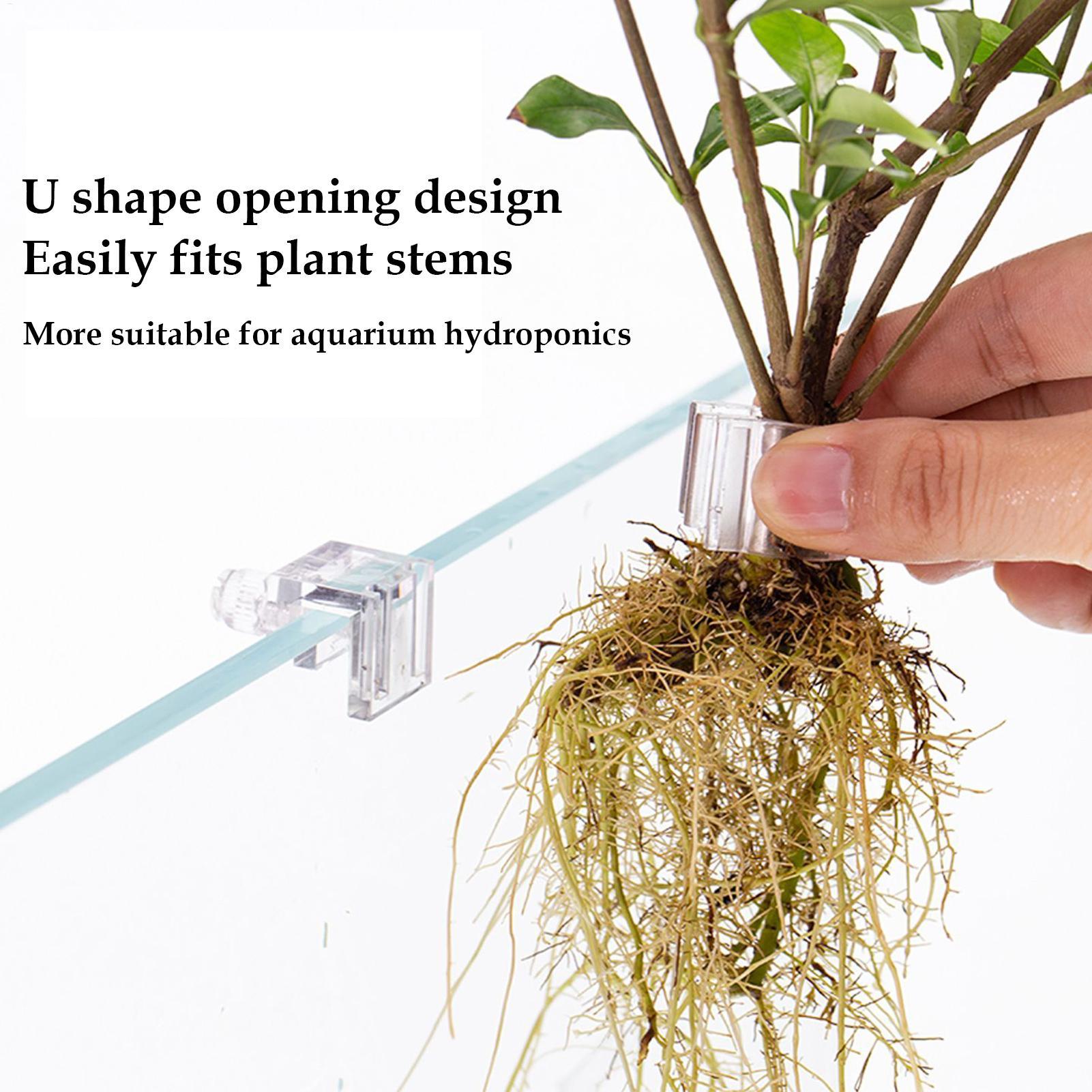 Mini Fish Tank Planter Pot 6Pc - Planted Aquarium Mini 评论和价格