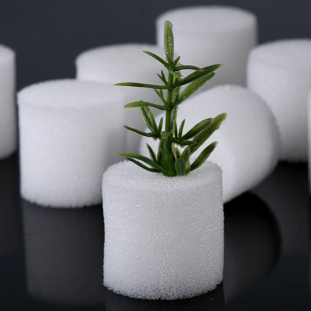 10/50pcs Durable Garden Suppli - Aquarium Planted Seeds 评论和价格