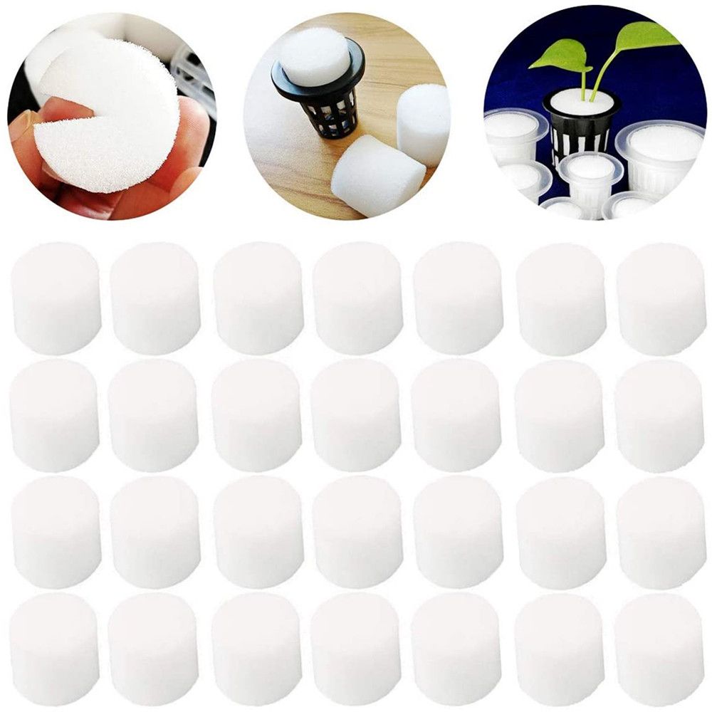 10/50pcs Durable Garden Suppli - Aquarium Planted Seeds 评论和价格