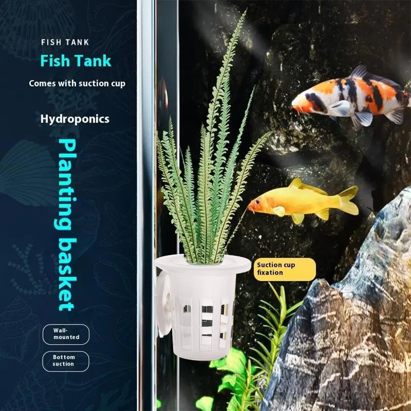 10/20/30Pcs Plastic Aquarium P - Aquarium Plant Diseases 评论和价格