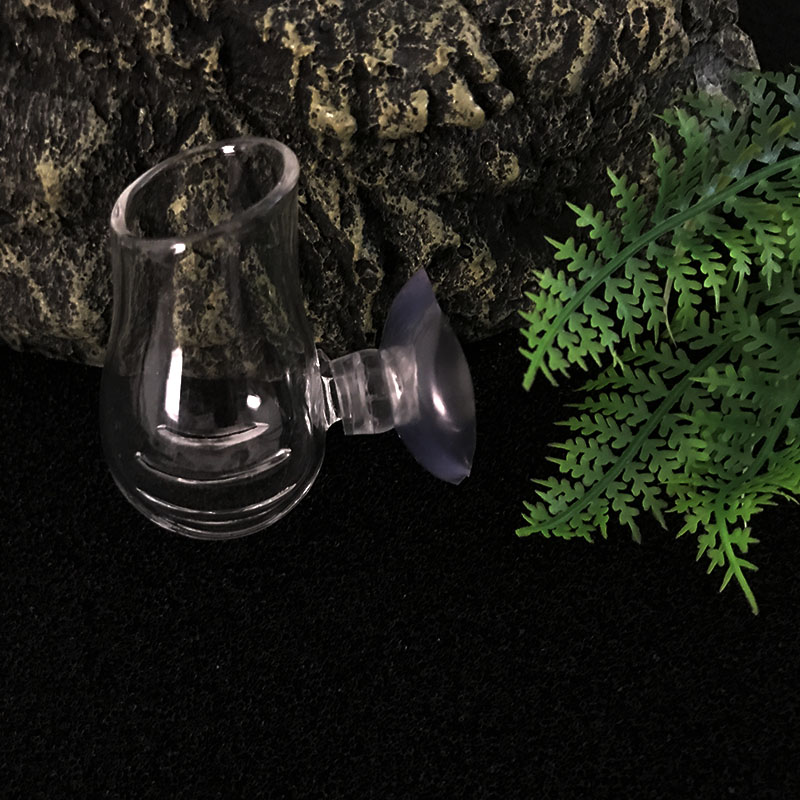 Aquarium Decoration Hanging Fi - Planted Aquarium Mini 评论和价格