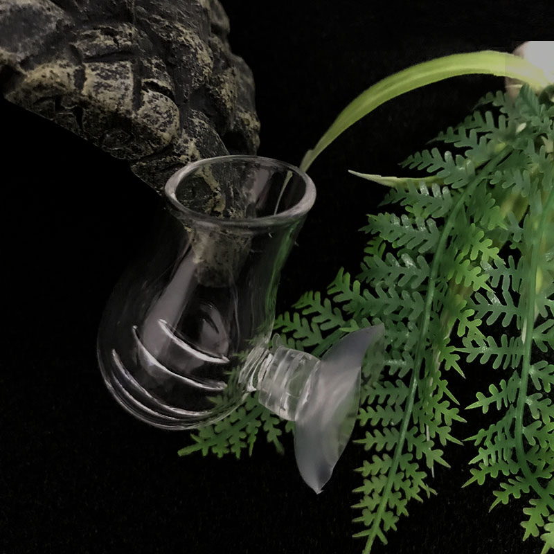 Aquarium Decoration Hanging Fi - Planted Aquarium Mini 评论和价格