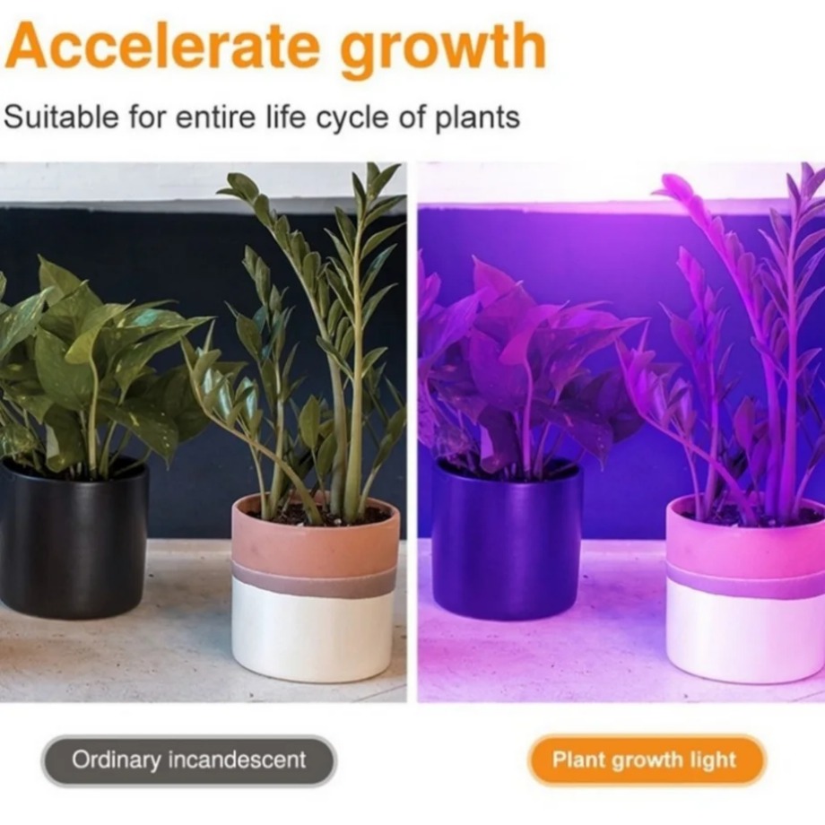 2Pcs LED Grow Full Spectrum Bu - Aquarium Plant Root Tabs 评论和价格