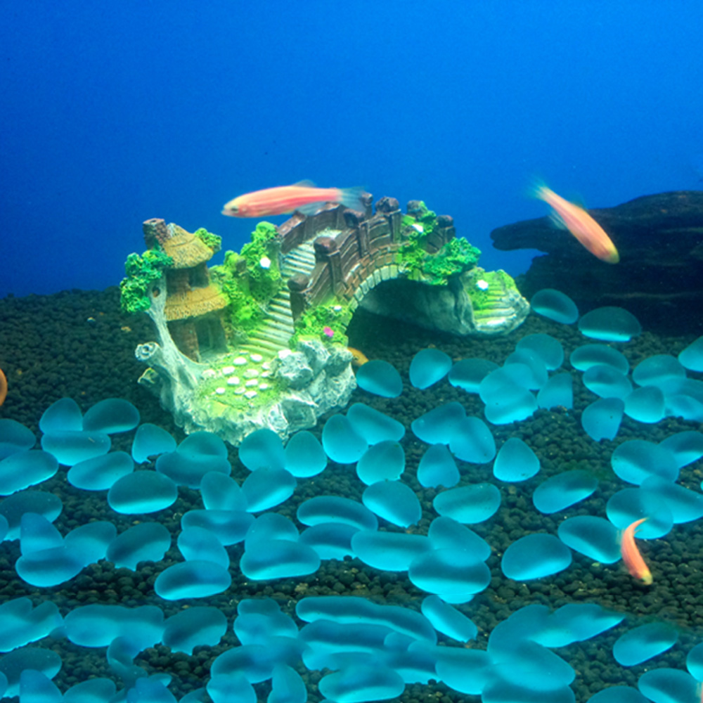 Aquarium Accessories Arbor Tre - Planted Aquarium Media 评论和价格