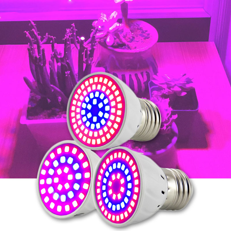 2/3 Head LED Plant Grow Light  - Aquarium Plant Root Tabs 评论和价格