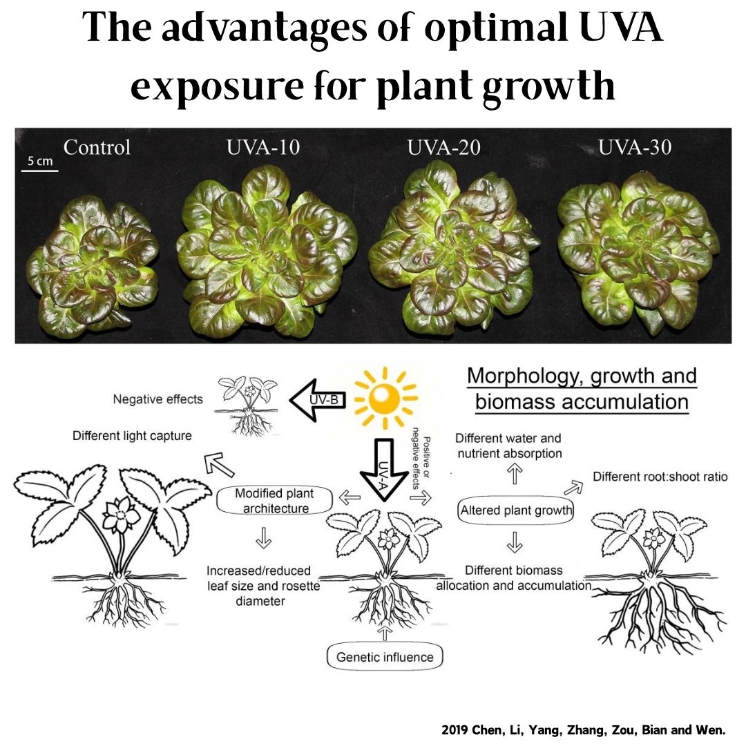 Week Aqua M Series RGB+UV Wate - Planted Aquarium Uv Light 评论和价格