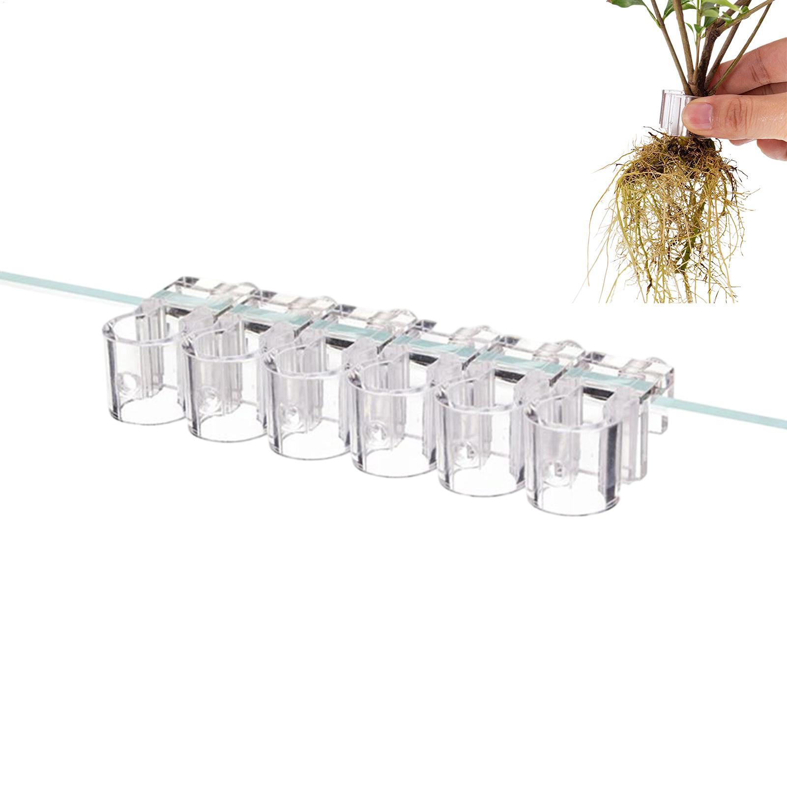 Plant Holder For Aquarium 6 Pi - Aquarium Plant Diseases 评论和价格