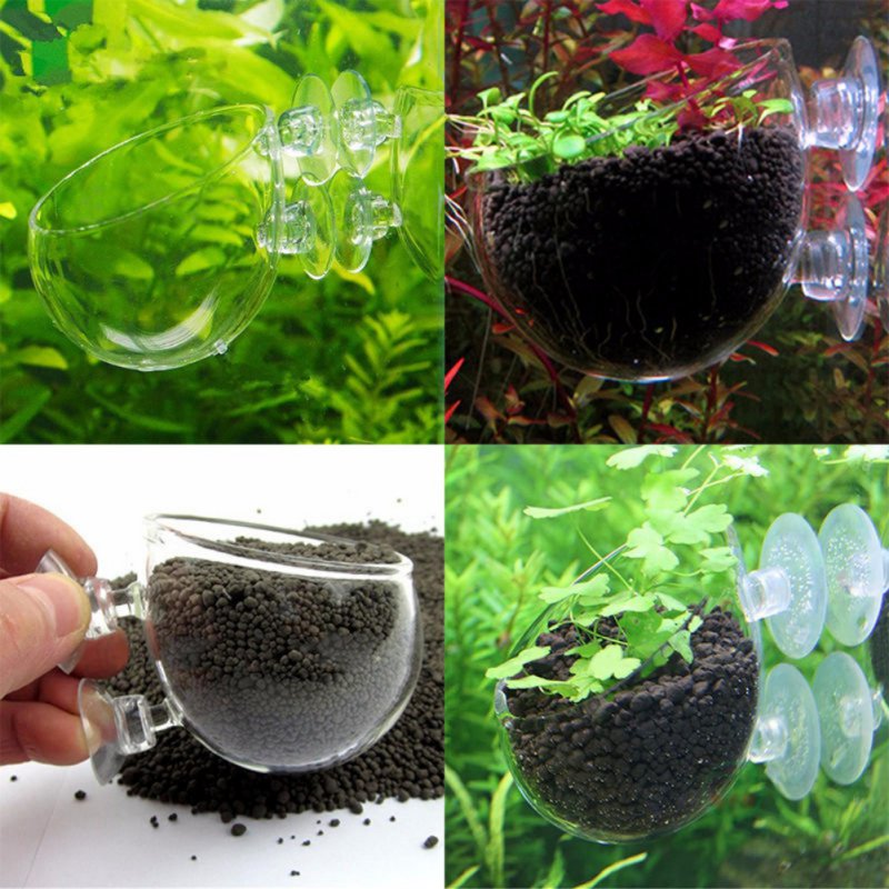 Aquarium Hanging Plant Pot Gla - Aquarium Planted Seeds 评论和价格