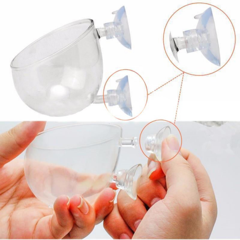 Aquarium Hanging Plant Pot Gla - Aquarium Planted Seeds 评论和价格